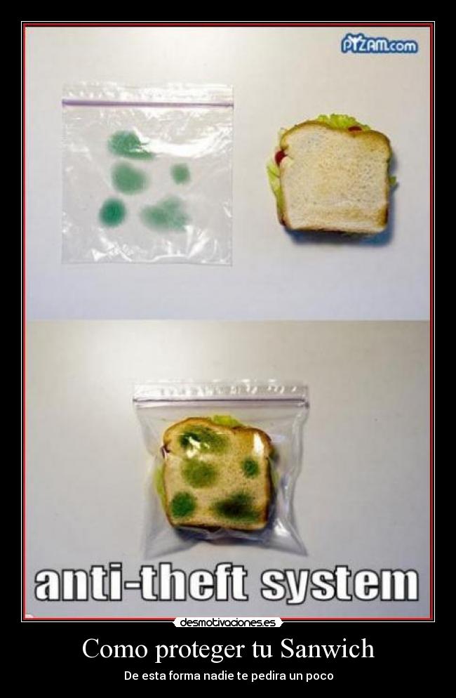 Como proteger tu Sanwich - De esta forma nadie te pedira un poco