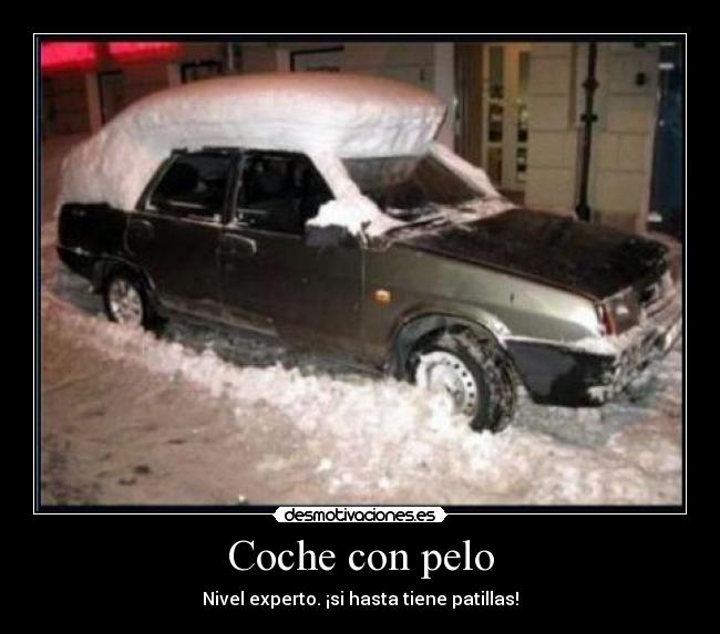 Coche con pelo - 