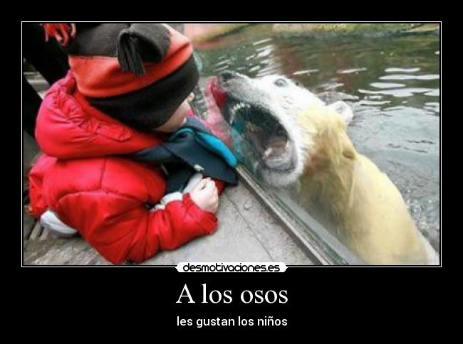 A los osos - les gustan los niños
