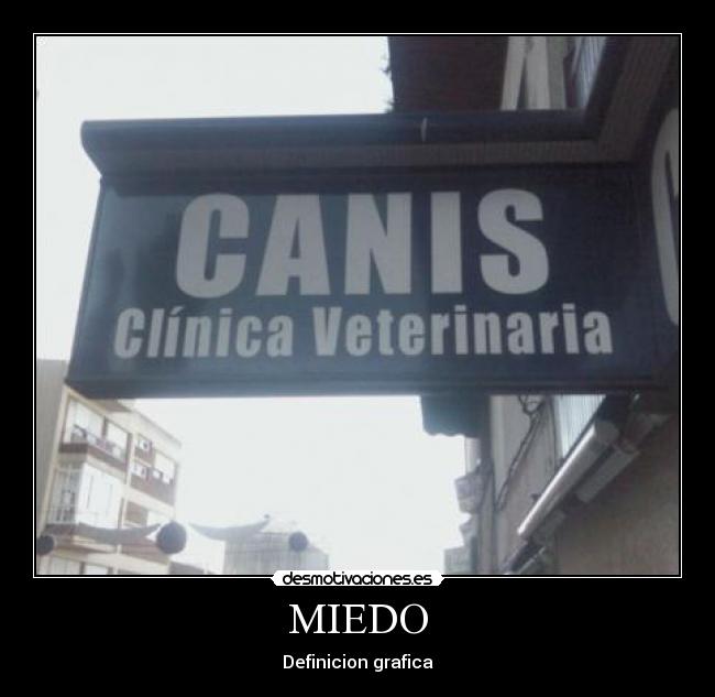MIEDO - 