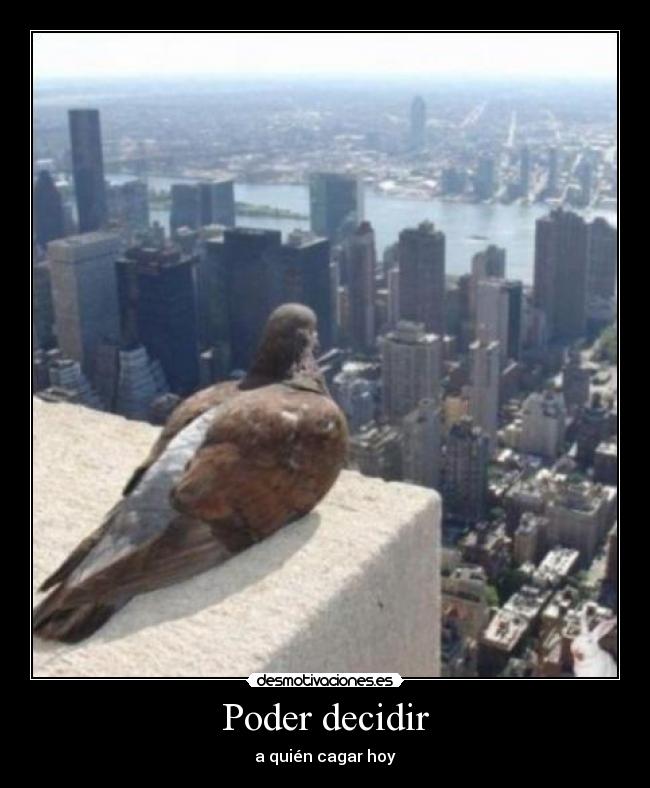 Poder decidir - a quién cagar hoy