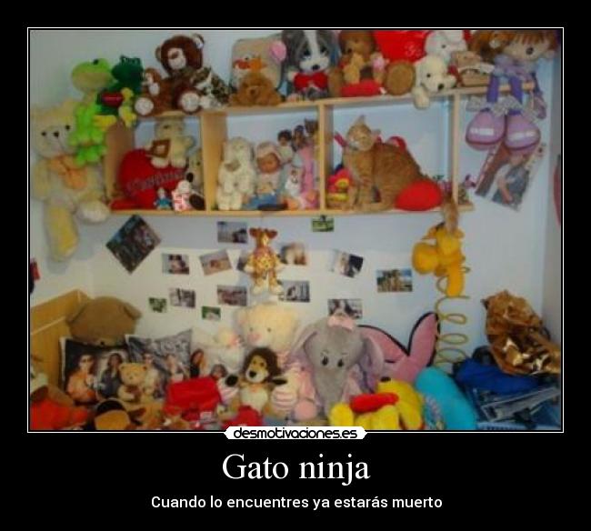 Gato ninja - 