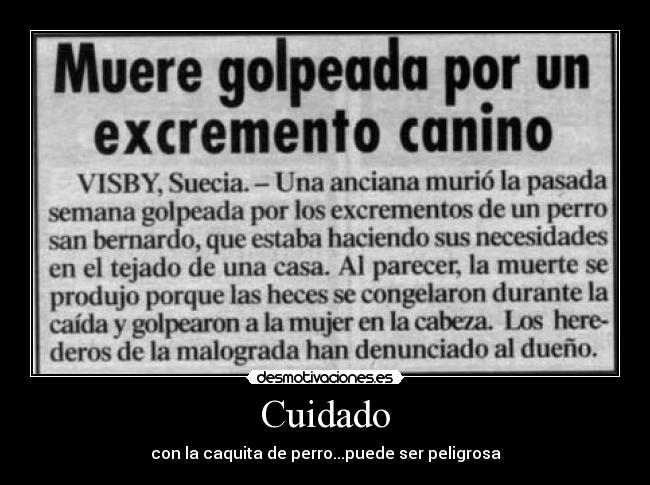 carteles muere golpeada desmotivaciones