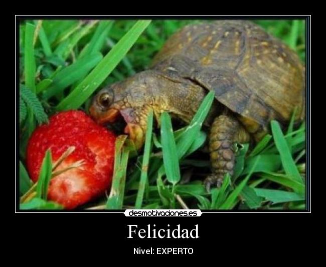 Felicidad - Nivel: EXPERTO
