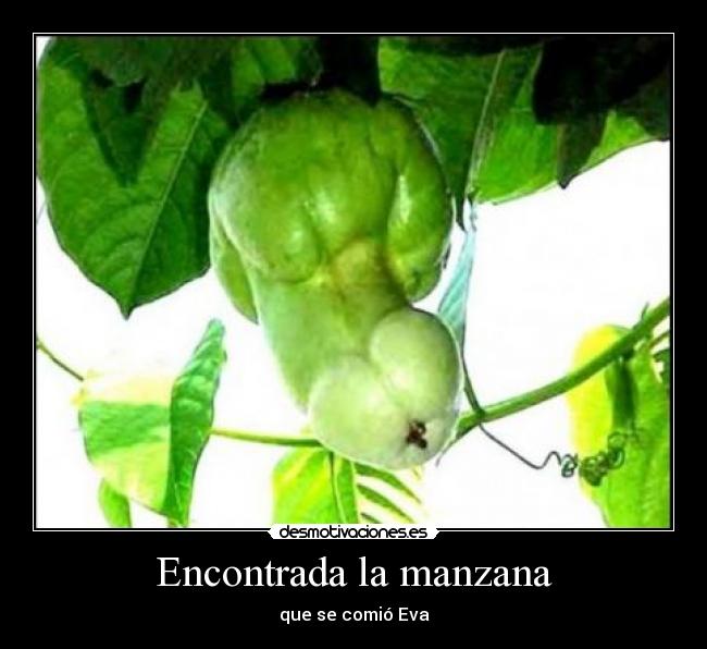 Encontrada la manzana - que se comió Eva