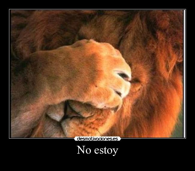 No estoy - 