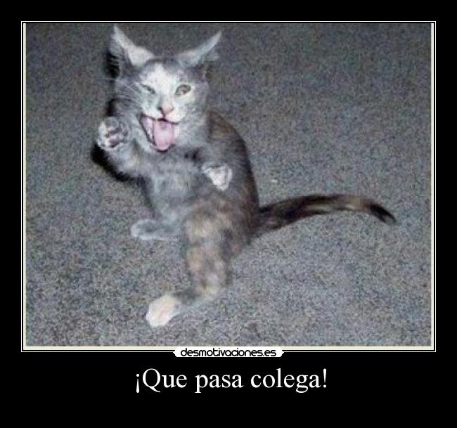¡Que pasa colega! -
