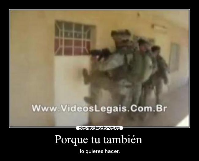 Porque tu también - lo quieres hacer.