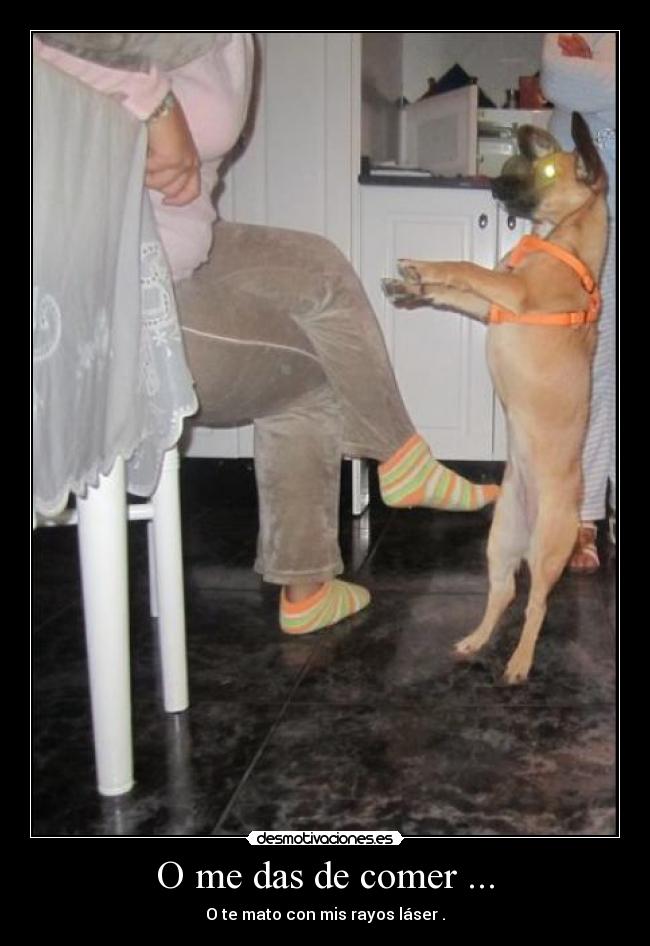 O me das de comer ... - O te mato con mis rayos láser .