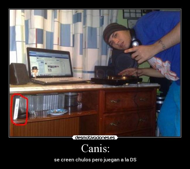 Canis: - 