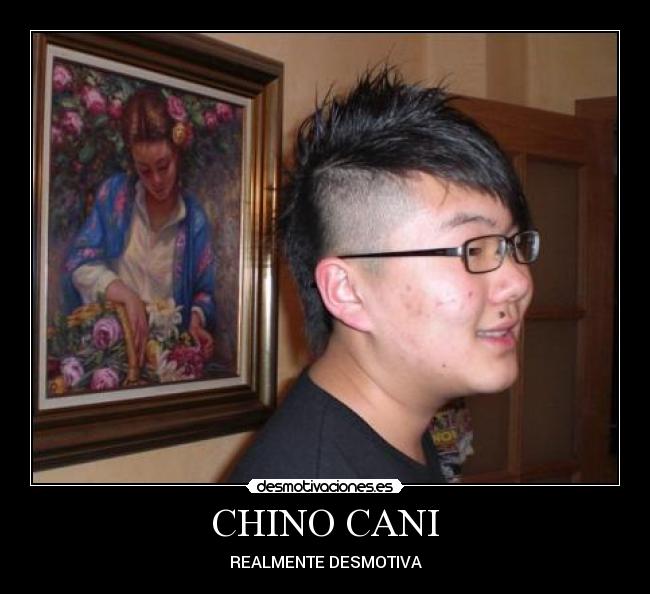 CHINO CANI -