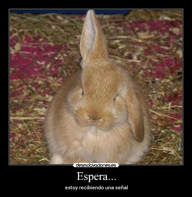 Espera... - 
