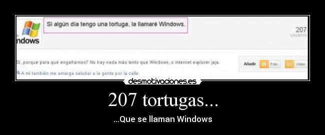 207 tortugas... - 