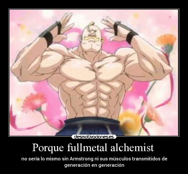Porque fullmetal alchemist -