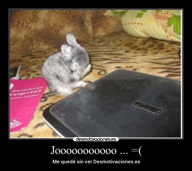 Jooooooooooo ... =( - Me quedé sin ver Desmotivaciones.es