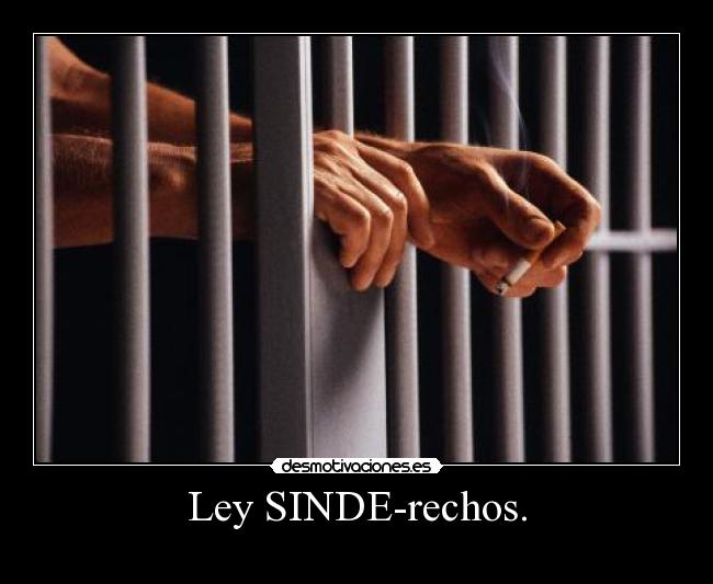 Ley SINDE-rechos. -