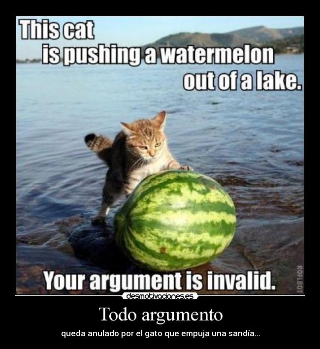 Todo argumento - queda anulado por el gato que empuja una sandía...