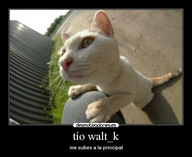 tío walt_k -