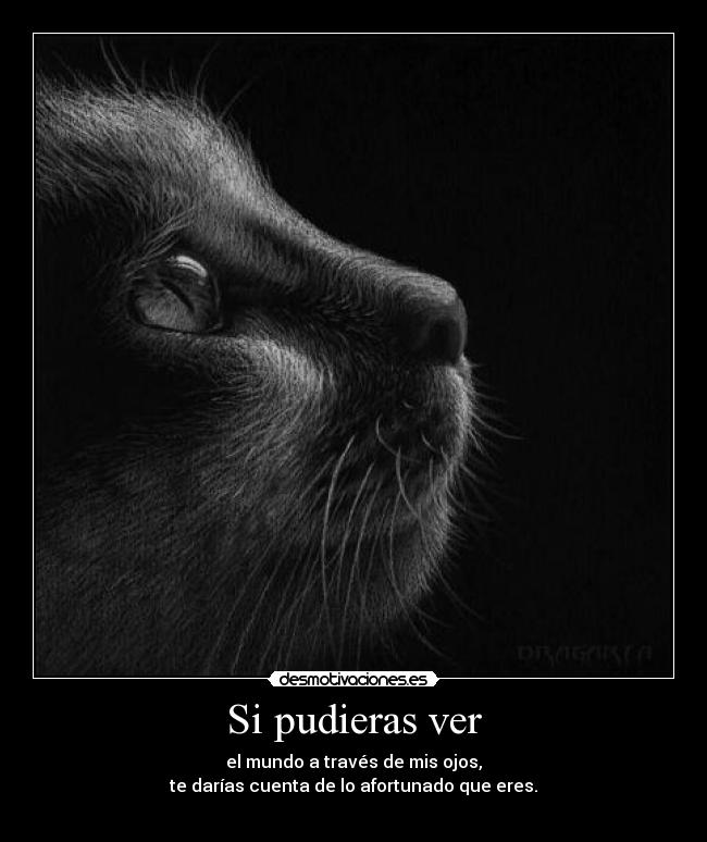 Si pudieras ver -