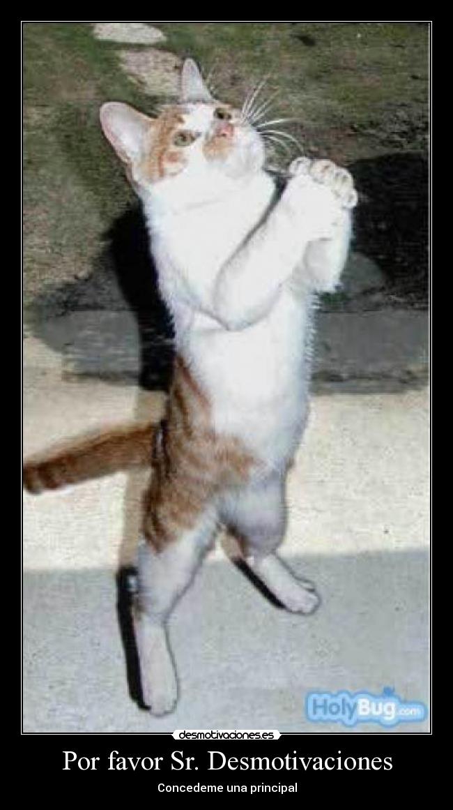 Por favor Sr. Desmotivaciones -