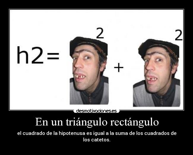 En un triángulo rectángulo -