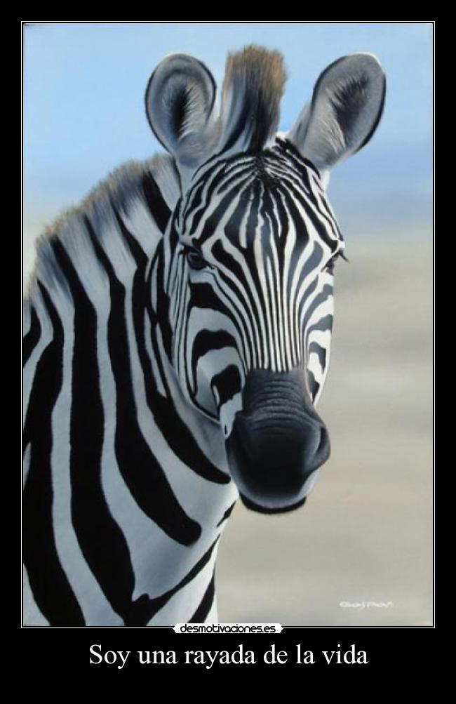 Soy una rayada de la vida - 