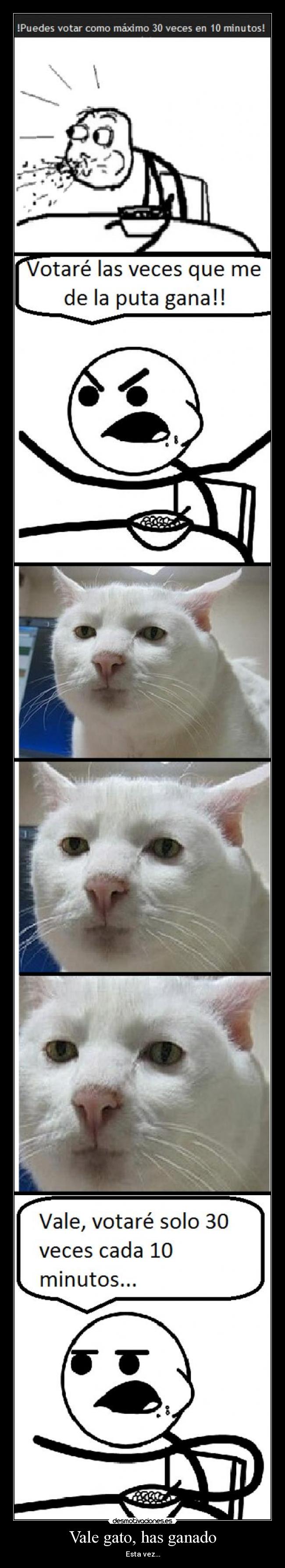 Vale gato, has ganado - 