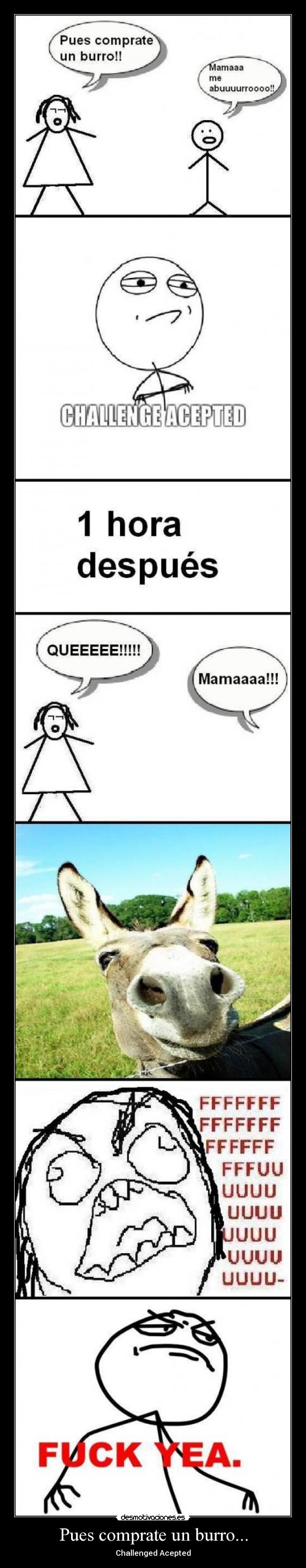 carteles challenged acepted desmotivaciones