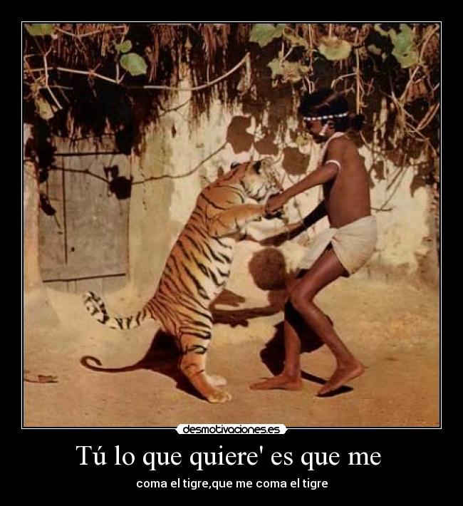 Tú lo que quiere es que me -