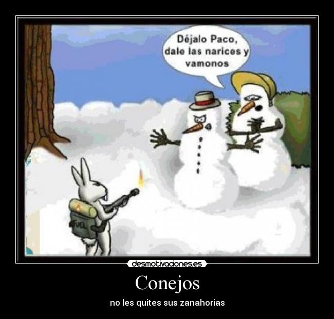 Conejos -