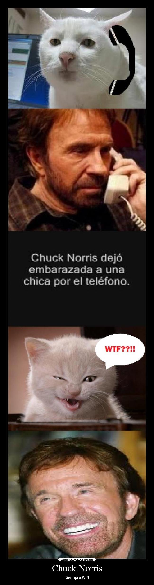 Chuck Norris -