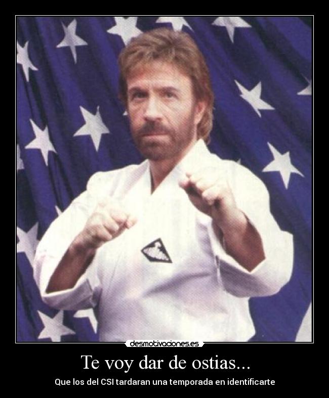 carteles chuck norris csi ostias fuerza bruta lucha desmotivaciones