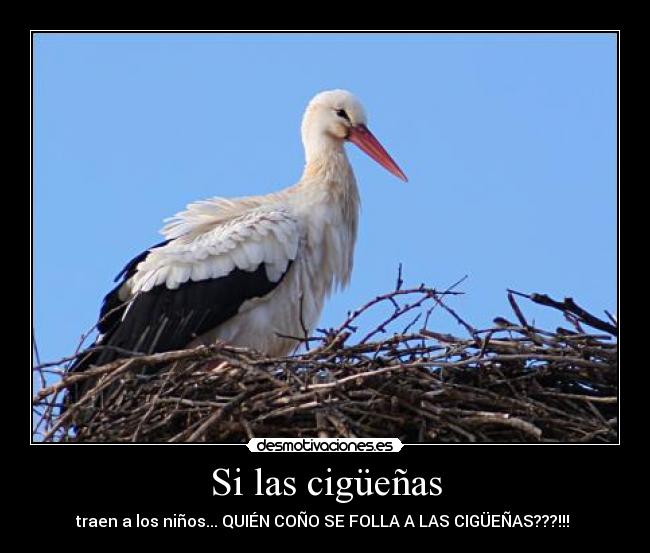 Si las cigüeñas -