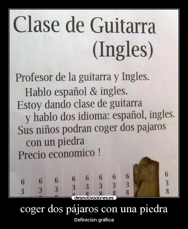 coger dos pájaros con una piedra - Definición gráfica