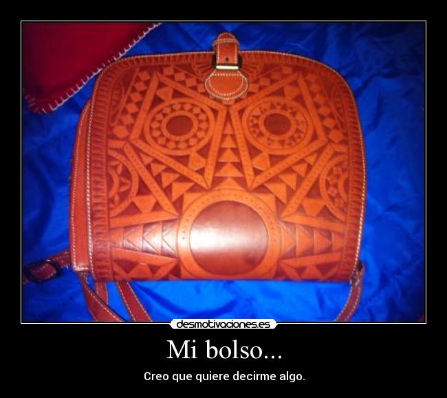 Mi bolso... - 