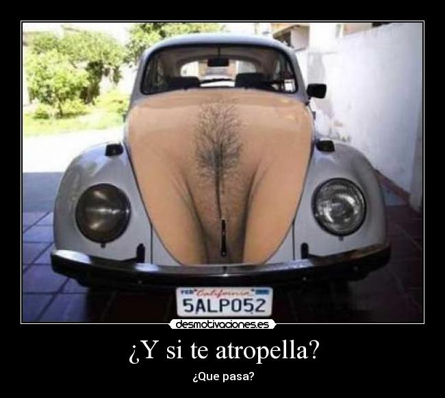 ¿Y si te atropella? - ¿Que pasa?