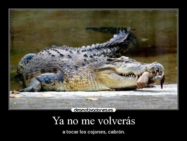 Ya no me volverás - 