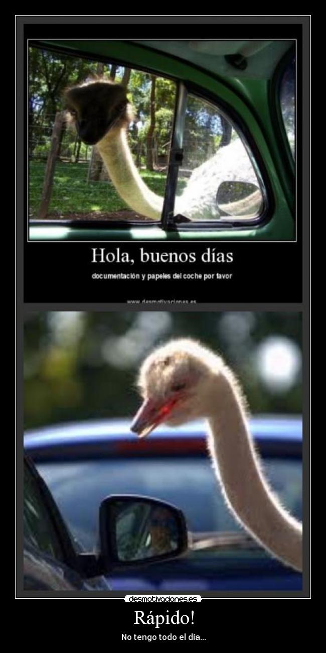Rápido! - 