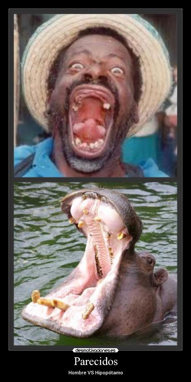 Parecidos - Hombre VS Hipopótamo