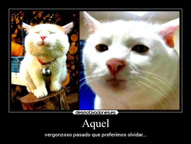 Aquel - vergonzoso pasado que preferimos olvidar...