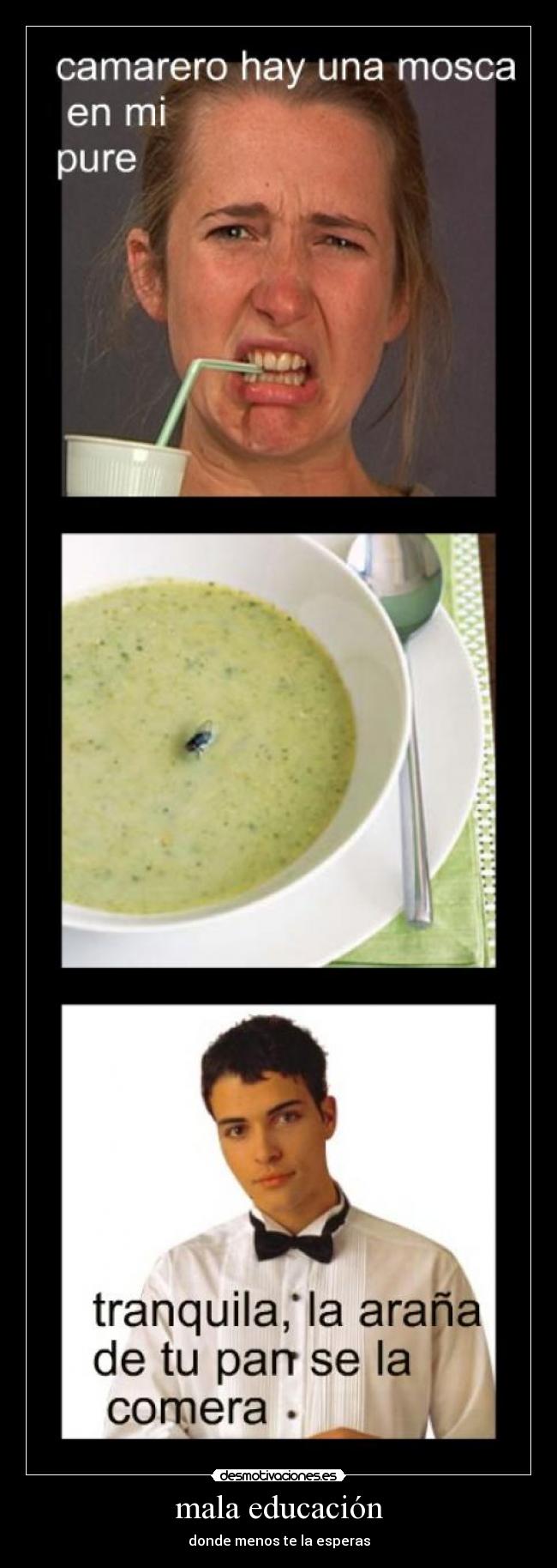 mala educación -
