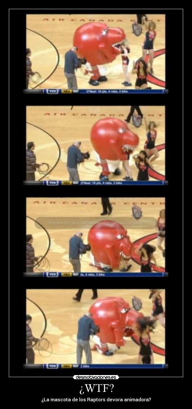 ¿WTF? - ¿La mascota de los Raptors devora animadora?