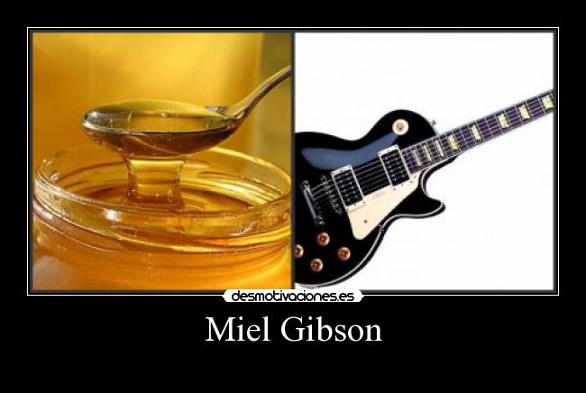 Miel Gibson -