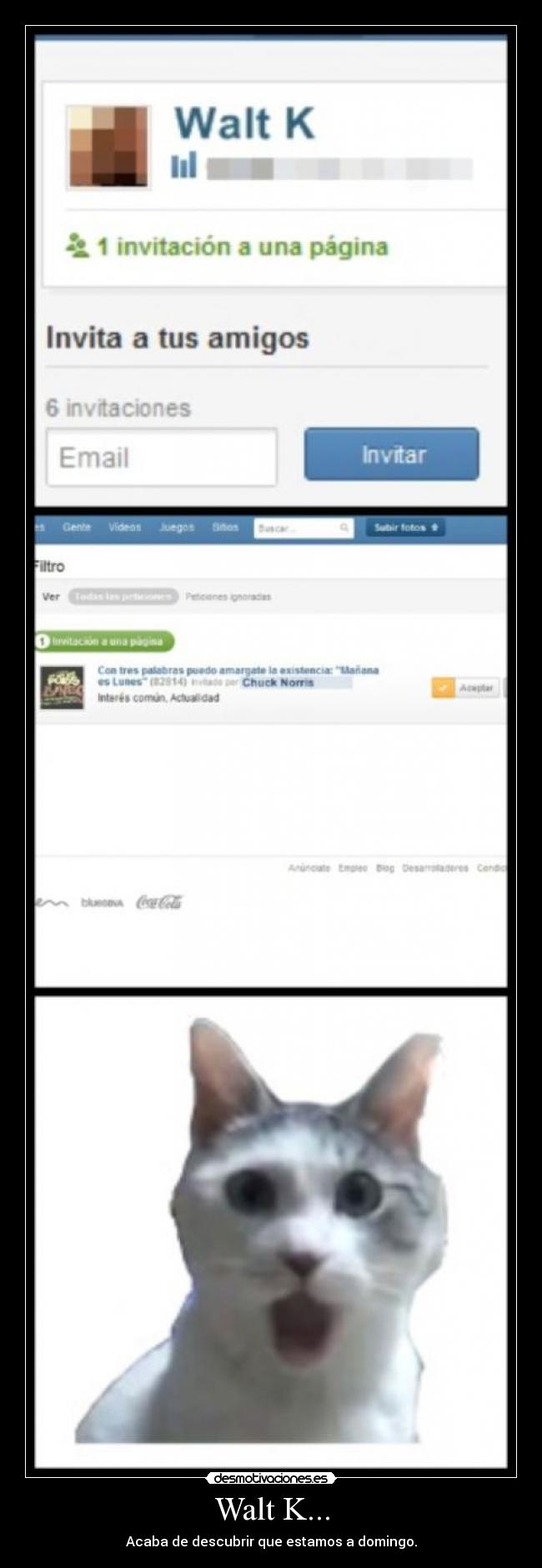 Walt K... - Acaba de descubrir que estamos a domingo.