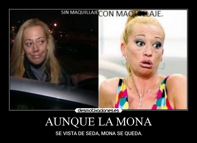 AUNQUE LA MONA - SE VISTA DE SEDA, MONA SE QUEDA.