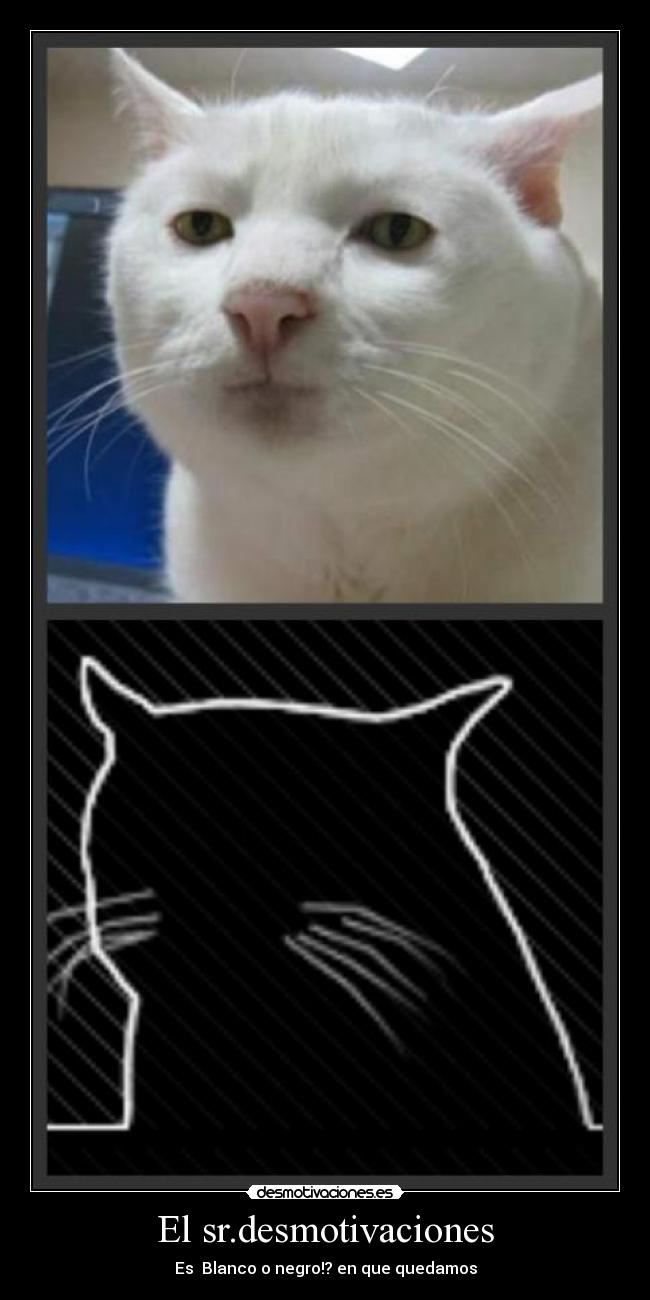 El sr.desmotivaciones -