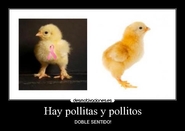 Hay pollitas y pollitos - DOBLE SENTIDO!