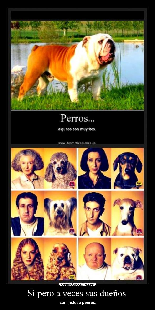 Si pero a veces sus dueños  - son incluso peores.