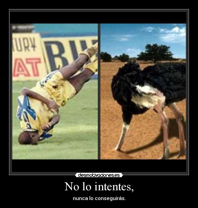 No lo intentes, - nunca lo conseguirás.