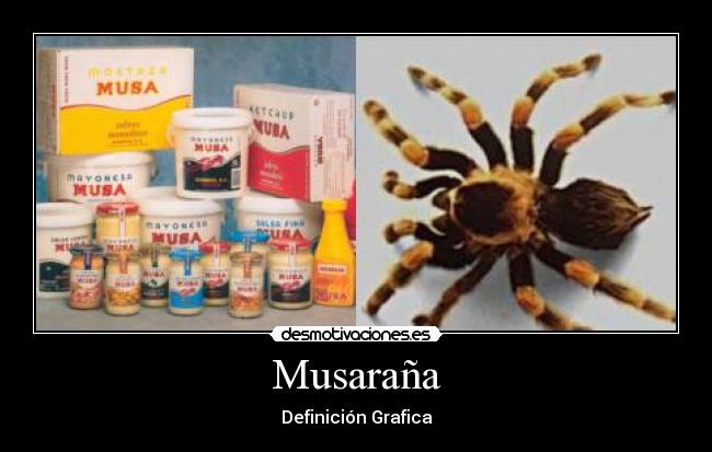 Musaraña - Definición Grafica